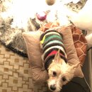 Christmas Time at Heather's (991715)