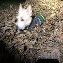 Random Photos 2018 (983947)