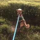 Atticus Finch! (984808)