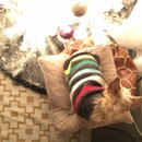 Christmas Time at Heather's (991034)