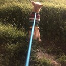 Atticus Finch! (983803)