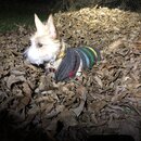 Random Photos 2018 (984469)