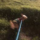 Atticus Finch! (982412)