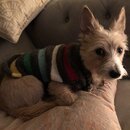 Christmas Time at Heather's (982886)