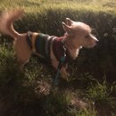 Atticus Finch! (988339)