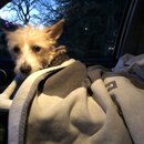 Atticus Finch! (985001)