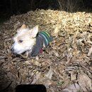 Random Photos 2018 (984730)