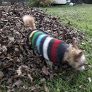 Random Photos 2018 (987581)