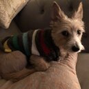 Christmas Time at Heather's (984018)