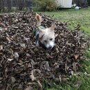 Random Photos 2018 (983246)