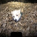 Random Photos 2018 (985466)