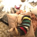 Christmas Time at Heather's (991247)