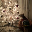 Christmas Time at Heather's (989399)