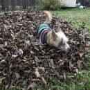 Random Photos 2018 (988158)