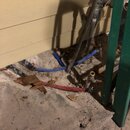 Hot Water Heater Repair (991156)