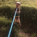 Atticus Finch! (986207)