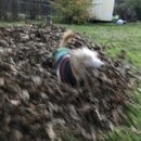 Random Photos 2018 (986728)