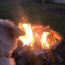 Backyard Fire with Atti (983485)