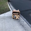 Random Photos 2018 (981827)