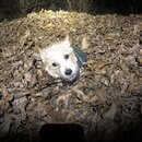 Random Photos 2018 (986515)