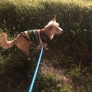 Atticus Finch! (984703)