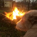 Backyard Fire with Atti (991349)