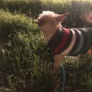 Atticus Finch! (992861)