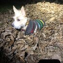 Random Photos 2018 (988786)