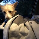 Atticus Finch! (983751)