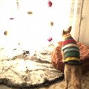 Christmas Time at Heather's (987761)