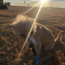 Winter Roadtrip to KC (985968)