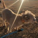 Winter Roadtrip to KC (982576)