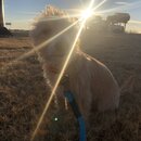 Winter Roadtrip to KC (991702)