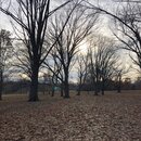 Winter Roadtrip to KC (989704)