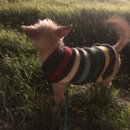 Atticus Finch! (991563)