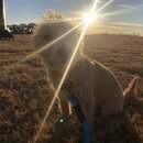 Winter Roadtrip to KC (985627)