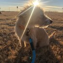 Winter Roadtrip to KC (981164)