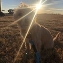 Winter Roadtrip to KC (987132)