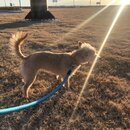 Winter Roadtrip to KC (987566)