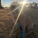 Winter Roadtrip to KC (981834)