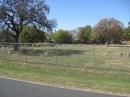 Travis County International Cemetery (23997)