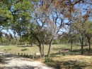 Travis County International Cemetery (24055)