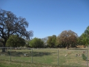 Travis County International Cemetery (24062)