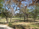 Travis County International Cemetery (24032)