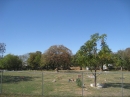Travis County International Cemetery (23998)
