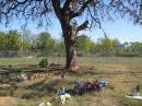 Travis County International Cemetery (24031)