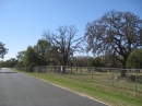 Travis County International Cemetery (24063)