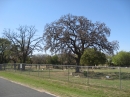 Travis County International Cemetery (24039)