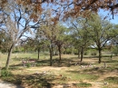 Travis County International Cemetery (24057)