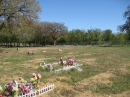 Travis County International Cemetery (24030)